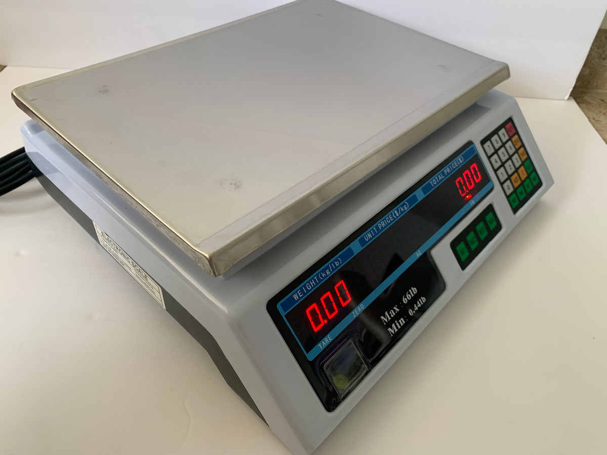 Digital price computing scale 60 LBS AC/DC